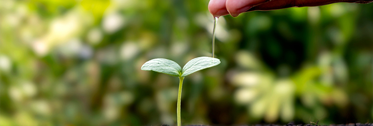 Al via il bando Interreg NEXT MED per progetti di transizione ecologica – Webinar di presentazione il 9 gennaio 2025